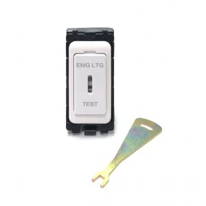 20A Double Pole Grid Key Switch Marked "EMG LTG TEST" - White