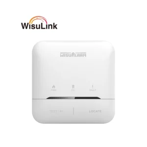 Wisualarm Alarm Control Unit